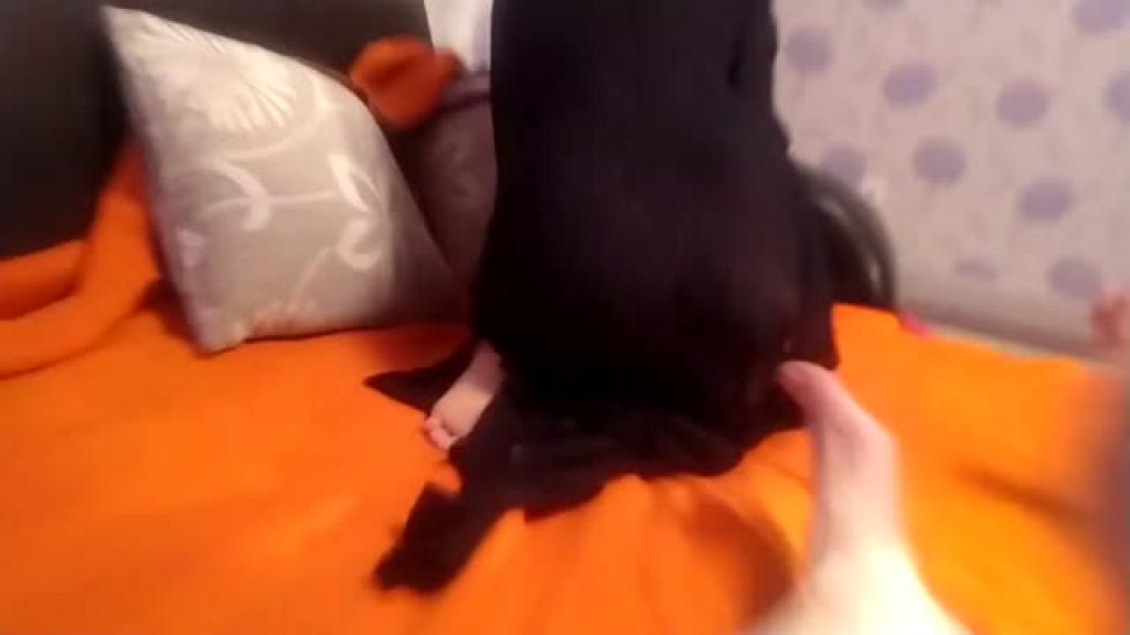 help_we_need_to_cum_now [2020-01-01 15:11:32]