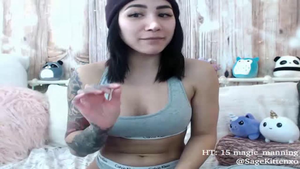 SageKitten [2018-11-30 18:41:03]