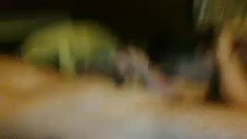 goodfuck19 [2016-10-22 14:55:27]