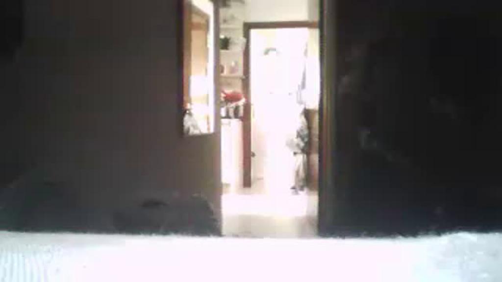 buquitas22 [2016-11-23 11:15:43]