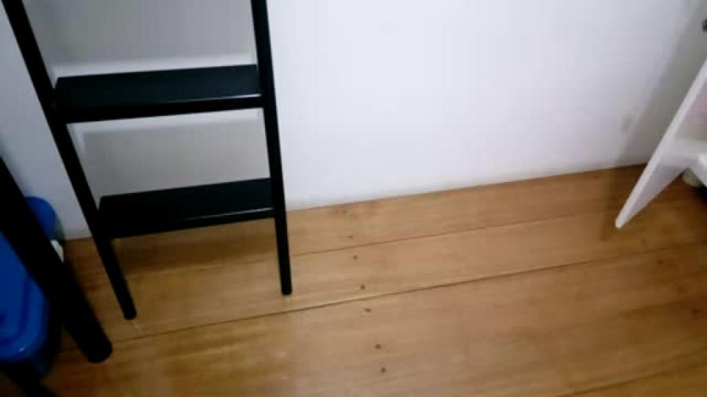 guccigu [2018-04-25 03:10:27]