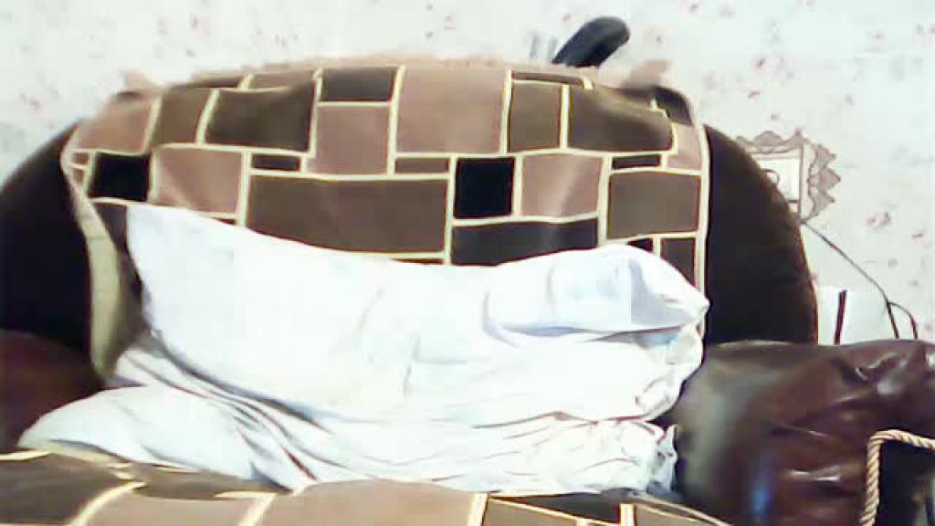 cined1986