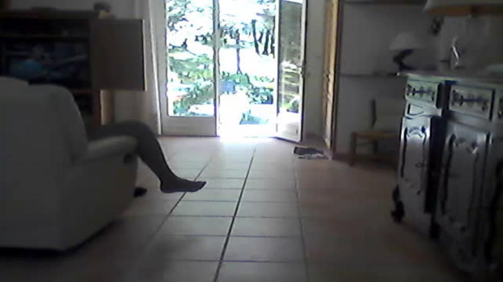 federer51