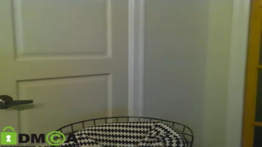 katocam [2016-12-07 04:20:34]