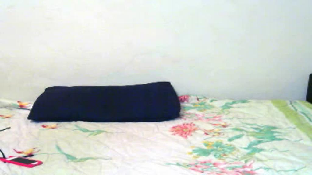 pleasuredream
