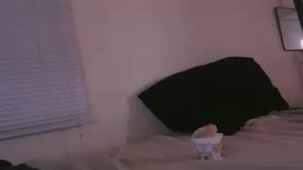 mrdreadzandshy