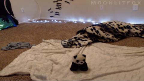 moonlitfox  [2016-10-14 11:55:53]