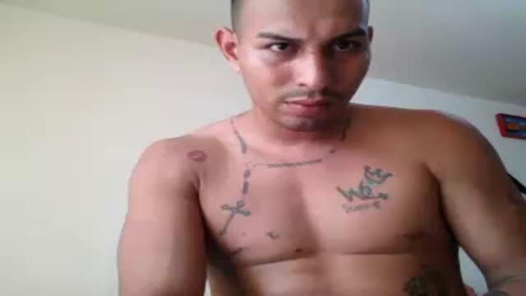 twohornylatin