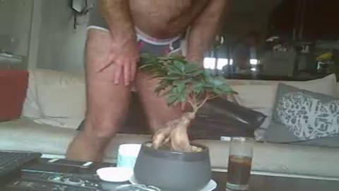 Gingerboikie [2016-10-23 12:30:41]
