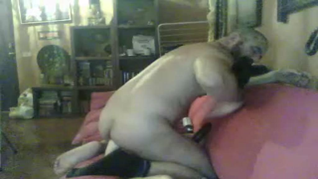 roberttosexy