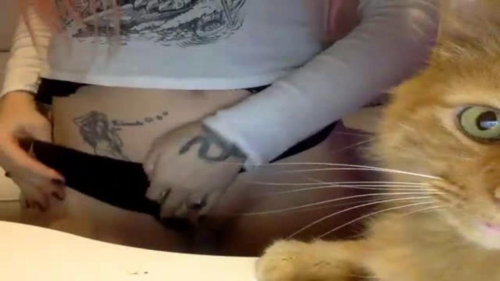 pixie_bl00d [2018-11-25 06:45:28]