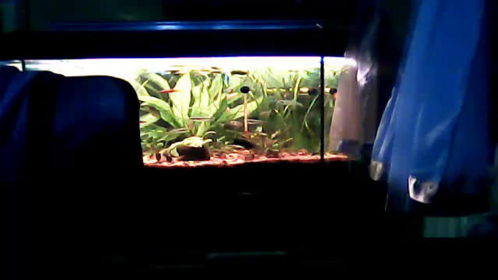 agusia54 [2016-11-16 15:10:52]