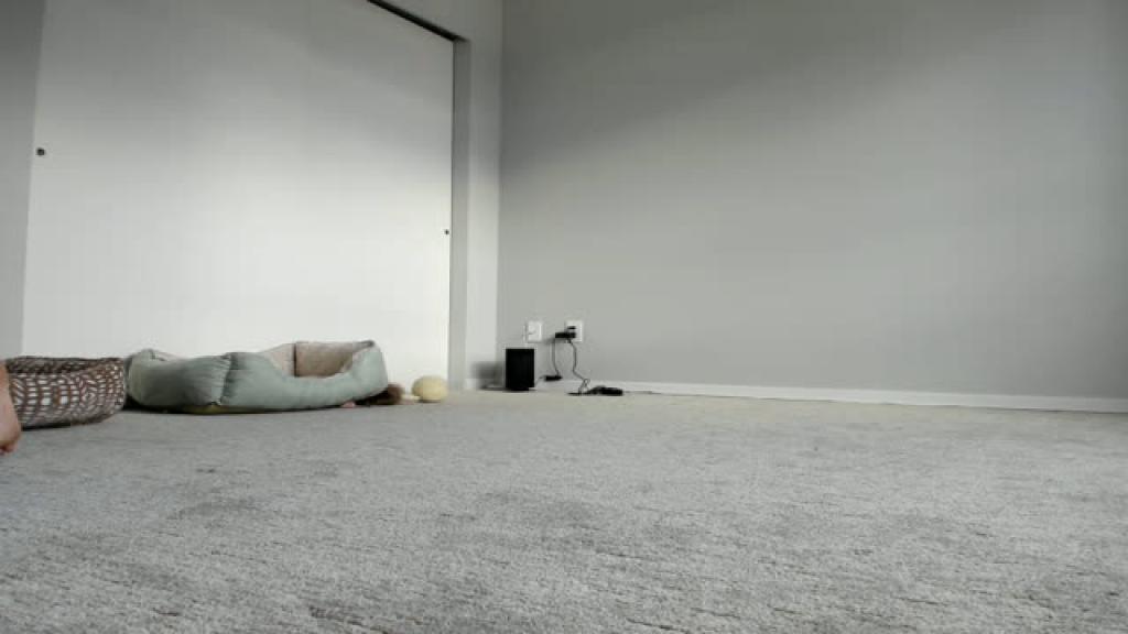 MOLLYBOOTS [2019-07-12 03:07:30]