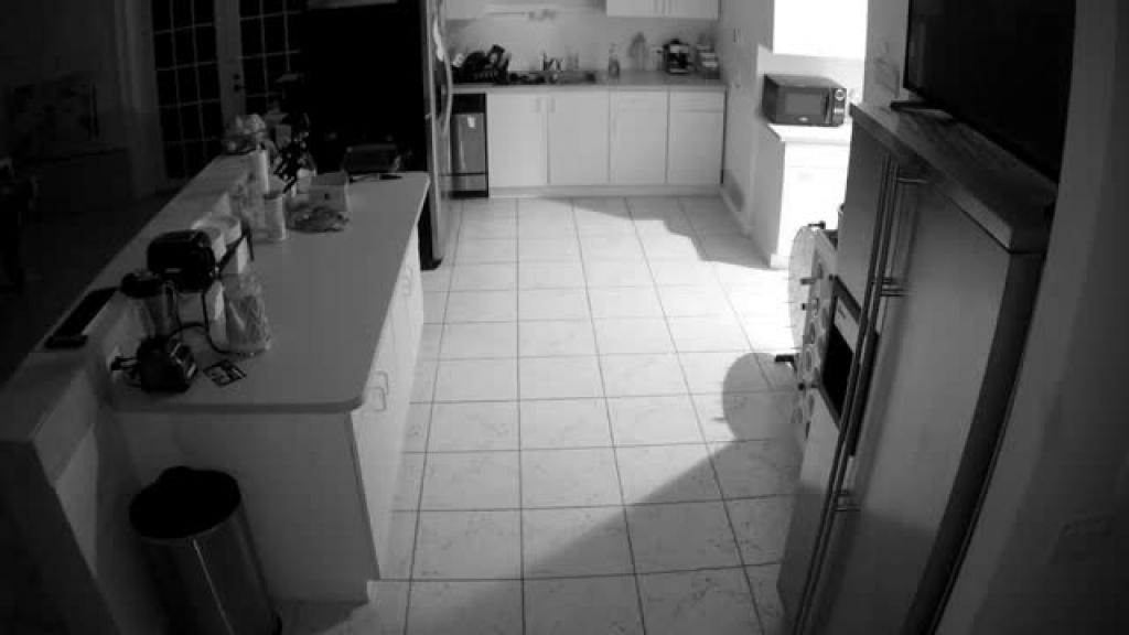 Kitchen [2017-01-10 05:00:27]