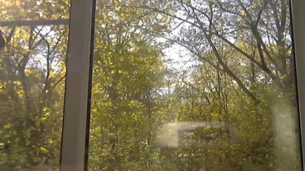 beaks4 [2017-05-14 13:15:53]