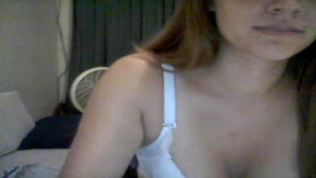kittenwild