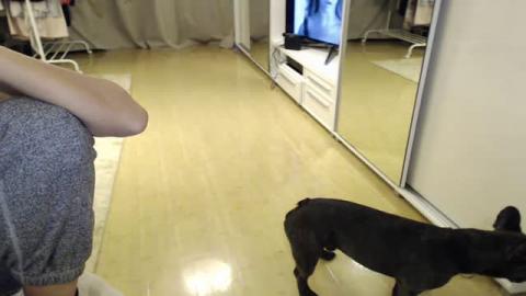 JediMary  [2016-10-22 04:57:07]