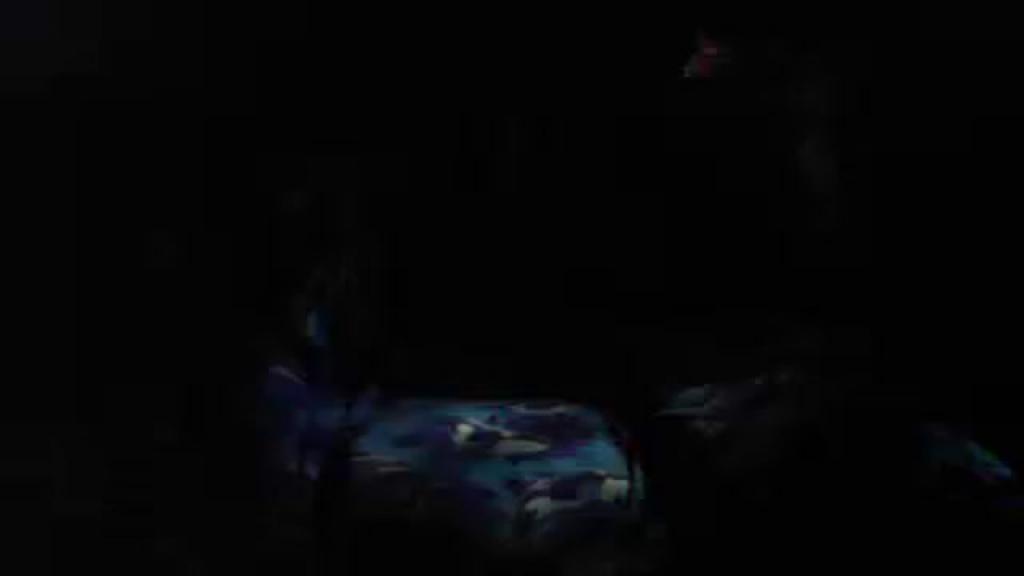 djjose12