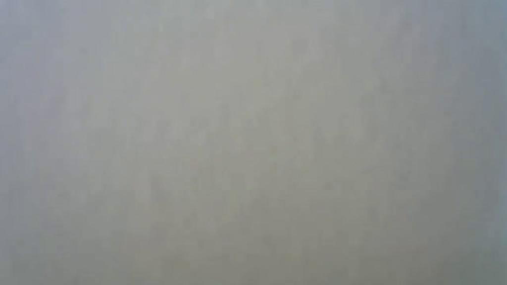 heidicouple [2019-08-03 15:15:28]