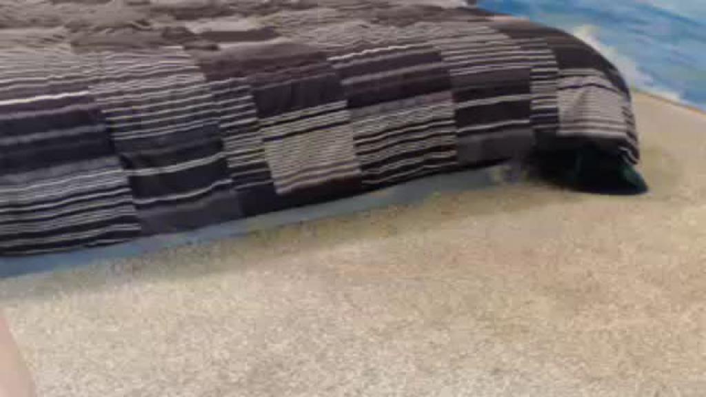 legz76