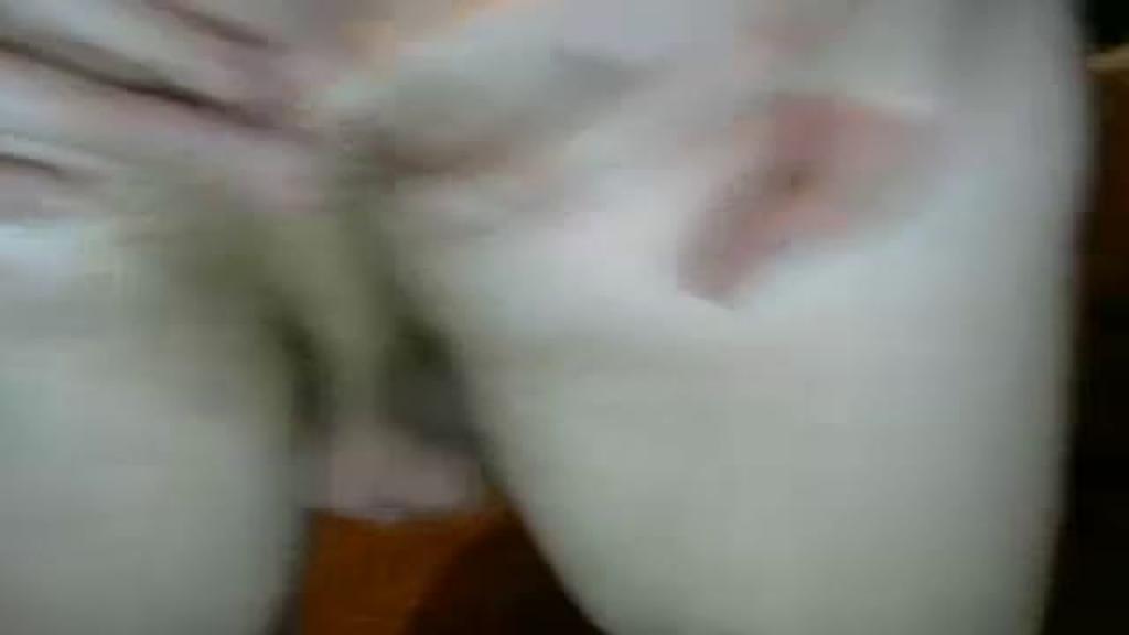 demonserafin [2016-11-18 13:32:12]