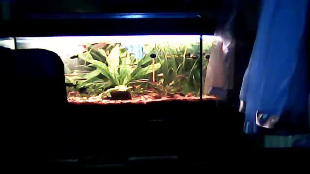 agusia54 [2016-11-16 16:07:44]
