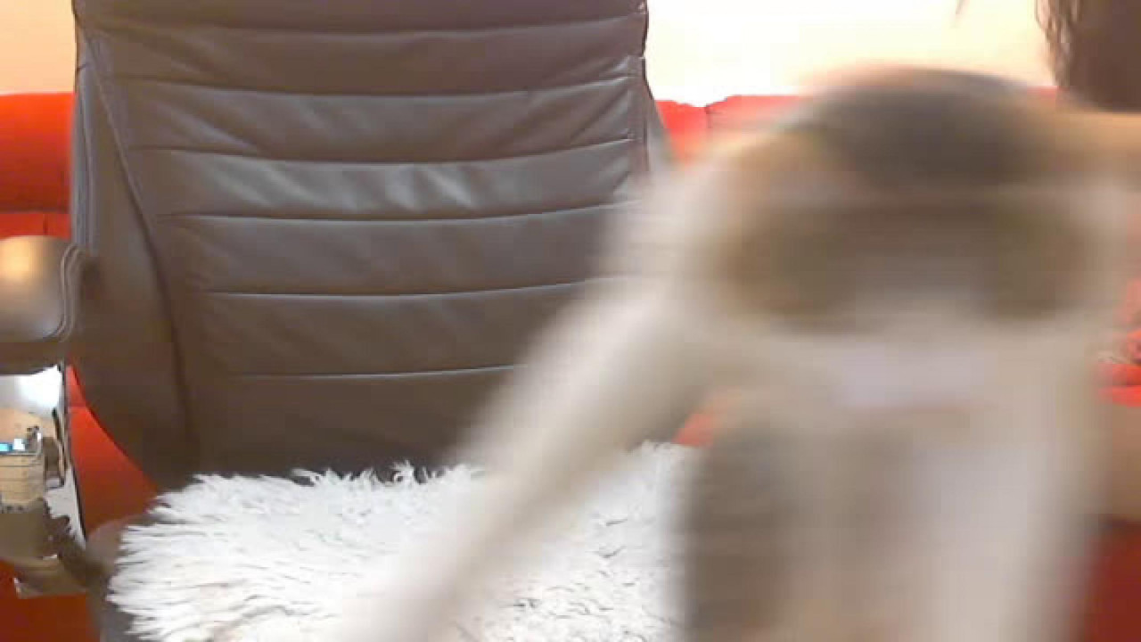 vanilachocola [2016-10-26 04:36:35]