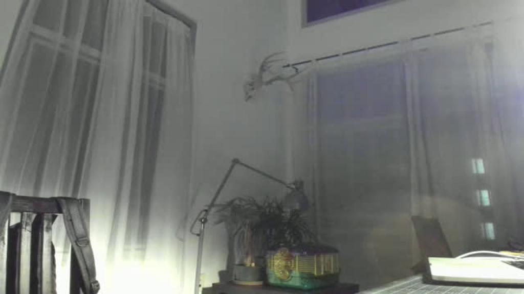 frankiiy_