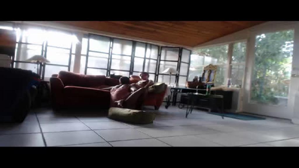 studdio1 [2017-05-20 11:45:29]