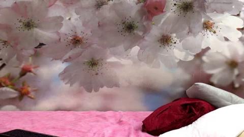FernandaLopez [2016-10-20 03:54:52]