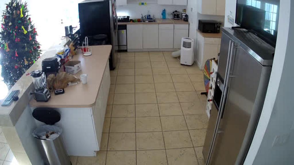 Kitchen [2017-01-01 21:15:27]