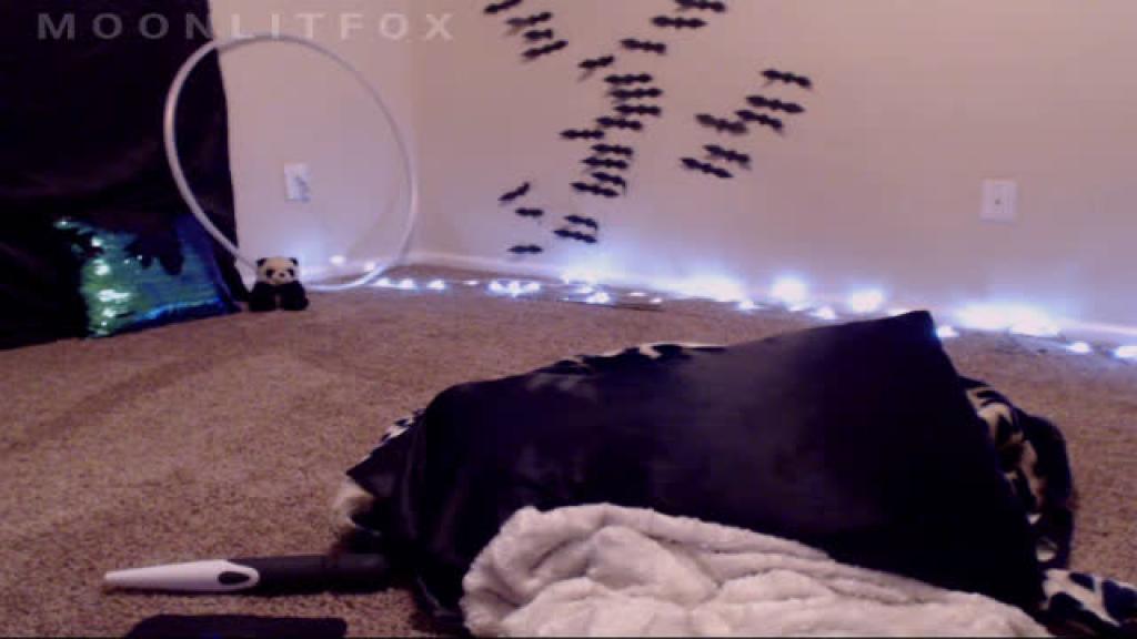 moonlitfox [2016-10-22 09:41:19]