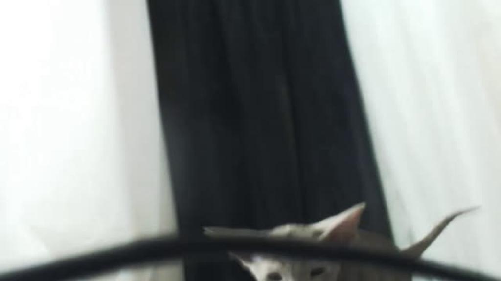HurricaneKat_ [2016-11-28 22:01:30]