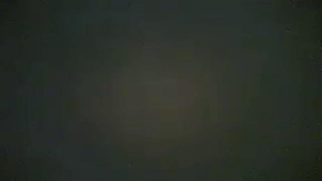 wolger