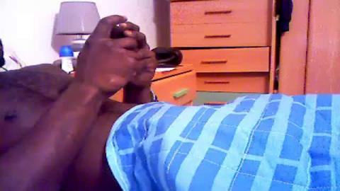 tigreblacko