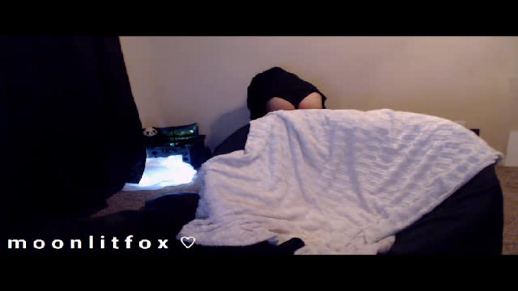 moonlitfox [2016-12-11 23:32:07]