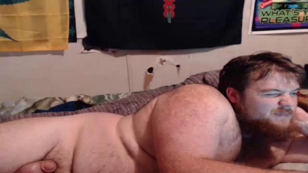 irishbear95